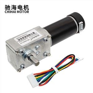 5840-3162 D Shaft Dc 12V 24V Powerful Torque Turbo Worm Geared Coding Motor. 5840-3162 D Shaft Dc 12V 24V Powerful Torque Turbo Wormed Coding Motor